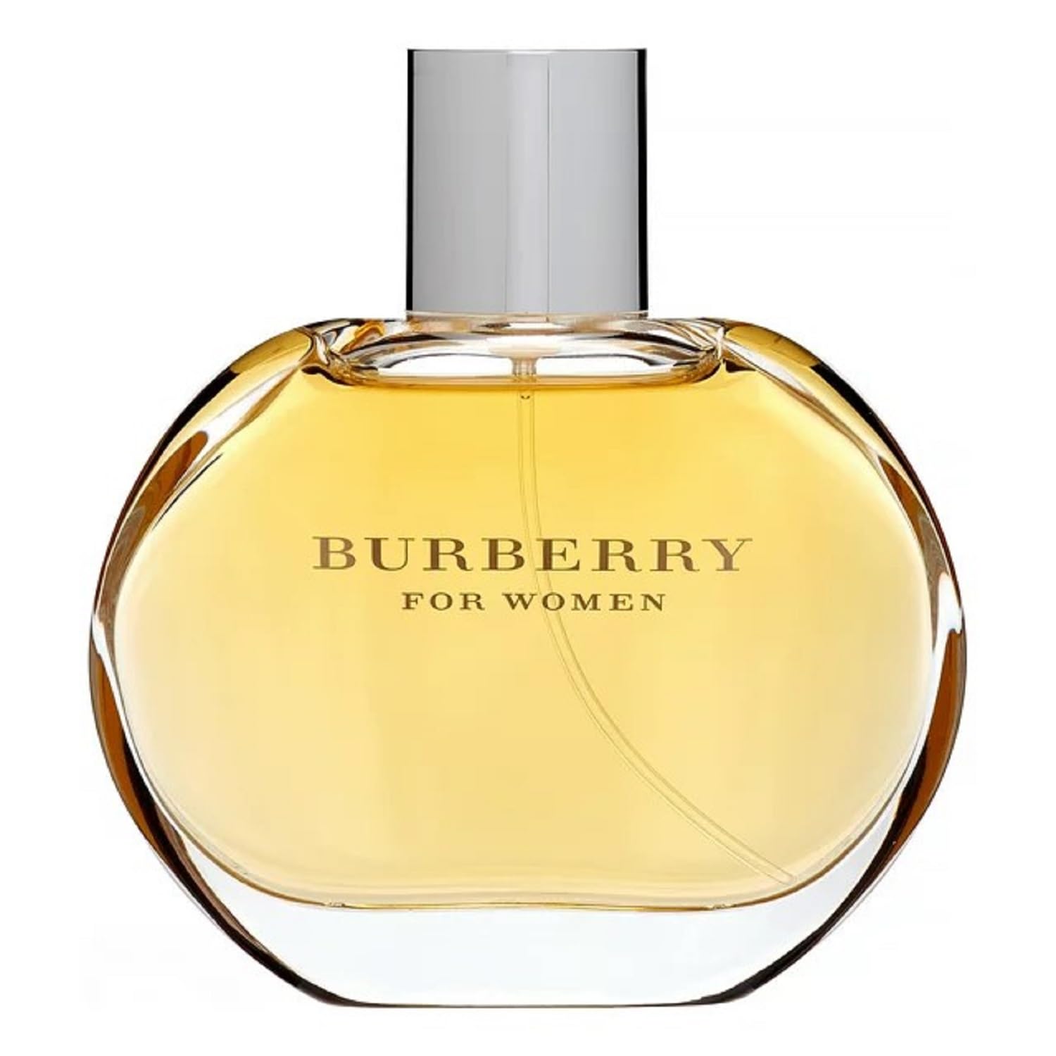 Burberry Womens Classic Eau de Parfum 3.3 Fl Oz - CCOOPZ COLLECTIVE